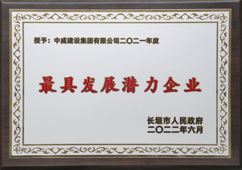 公司榮譽
